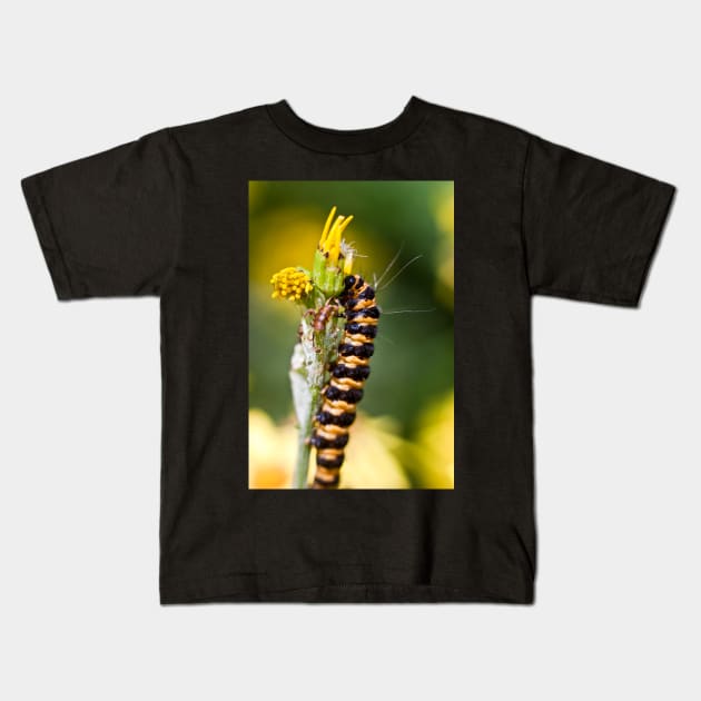 Orange and black striped caterpillar (Cinnabar moth) Kids T-Shirt by InspiraImage